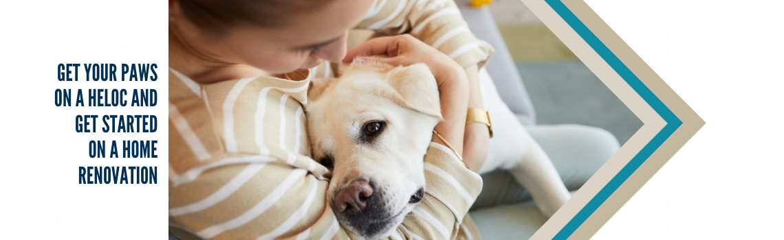 "A person cuddling a Labrador retriever. Text on the left reads 'Get your paws on a HELOC and get started on a home renovation.'"